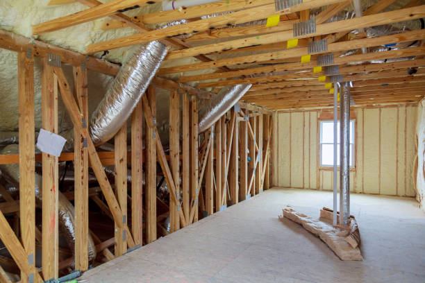 Best Specialized Insulation Services in Paloma Creek, TX