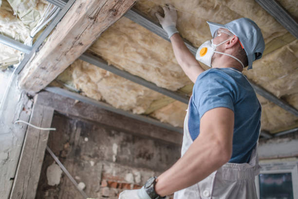 Best Insulation Maintenance and Repair in Paloma Creek, TX
