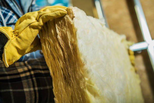 Best DIY Insulation Kits and Guidance in Paloma Creek, TX