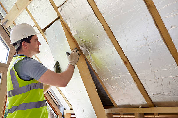 Best Blown-in Insulation in Paloma Creek, TX
