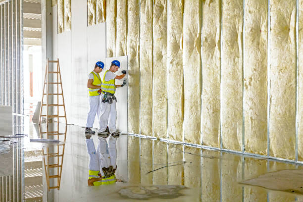 Best Spray Foam Insulation in Paloma Creek, TX